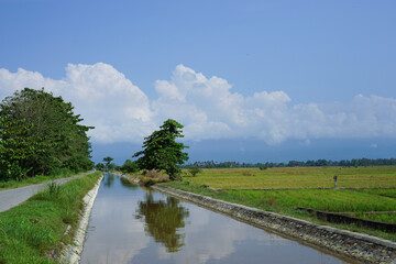 Fototapeta na wymiar Rice field irrigation channels and village roads