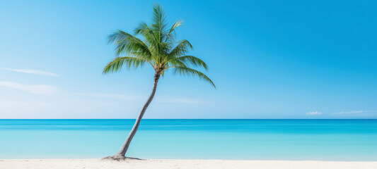 Palm tree on tropical beach with blue sky and white clouds abstract background, Copy space of summer vacation and travel concept.