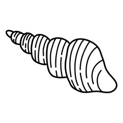Triton snail Sea Shell isolated on a transparent. Vector illustration in outline style. For cards, logo, decorations, invitations