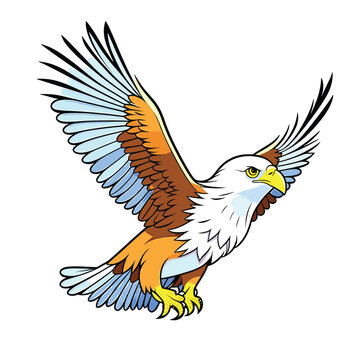 Bald eagle flying draw and paint on white background vector illustration vectors. Generative AI