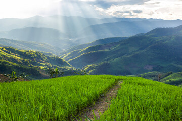 Sunlight shines down on the green mountains. The serene beauty of nature