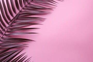 Fototapeta na wymiar a close up of a palm leaf on a pink background with a place for a text or an image of a palm leaf on a pink background.