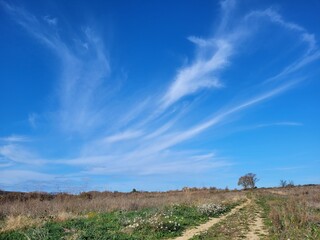 the road to the sky