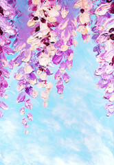 Oil painting. Bright wisteria flowers