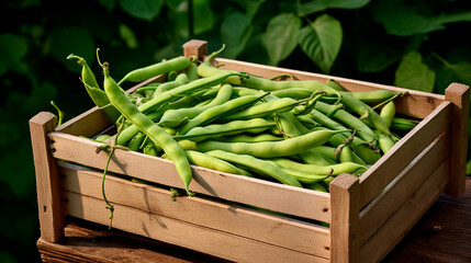 green beans harvest in a box in the garden. Selective focus. - obrazy, fototapety, plakaty