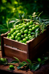 olives in a box in the garden. Selective focus.