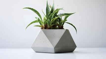 Concrete pot. Modern geometric concrete planter.