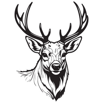 deer silhouette vector illustration black and white
