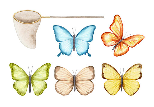 Set with various bright butterflies and net isolated on white background. Watercolor hand drawn illustration sketch