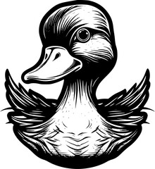 Duck - High Quality Vector Logo - Vector illustration ideal for T-shirt graphic