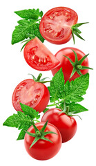 Tomato vegetable with leaf isolate