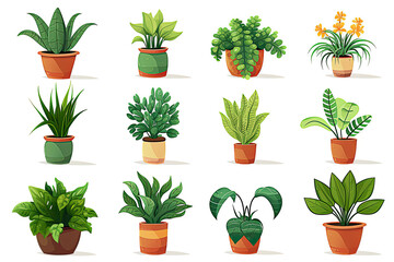 Set of  illustrations of plants in a pot on a white background. Cartoon flat various indoor decorative potted plants for home or office interior.