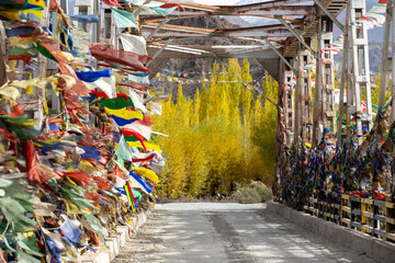Buddhist Prayer Flags Hanging On A Bridge Over Indus River, Leh Ladakh, India.