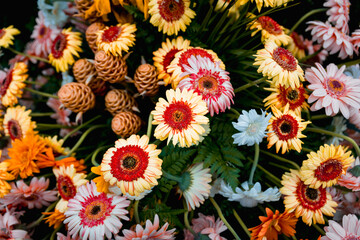 flowers madeira