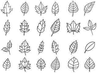 Set of leaves icon line art. Leaves doodle drawing