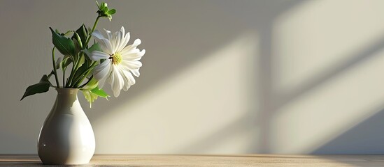 little white flower in vase decorated in living room. with copy space image. Place for adding text or design