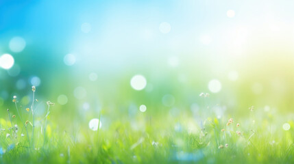 Beautiful sunny spring meadow with green grass and blue sky. Abstract background with light bokeh...