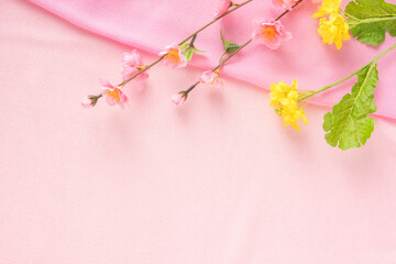 桃と菜の花のひな祭りイメージのピンク背景