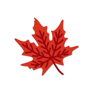 Vector flat illustration. Maple leaf icon on a white background. Perfect as a symbol or logo for your design.