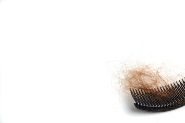 Hair loss in comb, hair fall everyday serious problem, on white background.