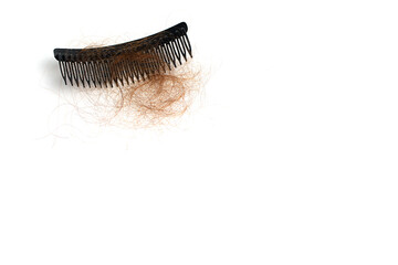 Hair loss in comb, hair fall everyday serious problem, on white background.