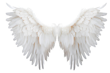 Cut out angel wings isolated on white
