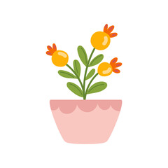 Vector illustration of flowers in pots