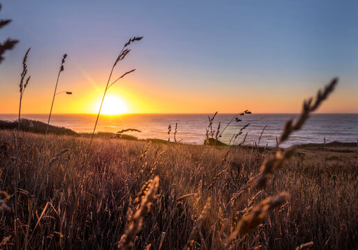 Beautiful sunset in the Pacific Ocean with soft warm light and good summer vibes