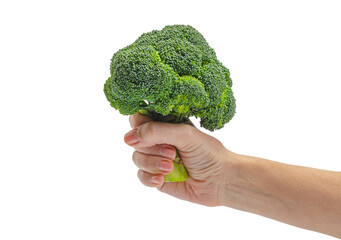 Naklejka na ściany i meble Female hand holding green broccoli isolated on white background. Diet, weight loss, healthy eating.