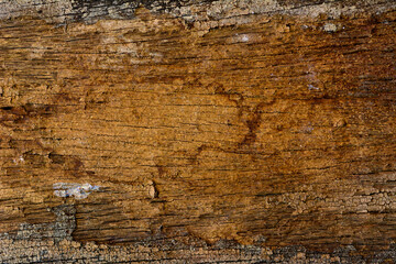 Macro shot of wood plank surface texture.
