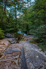 Shiratani Unsuikyo Ravine Trail, Yakushima, Japan