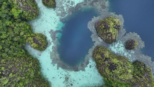 Rugged, limestone islands, fringed by reefs, rise from the scenic seascape in Raja Ampat, Indonesia. These islands' coral reefs, and the surrounding seas, support extraordinary marine biodiversity.