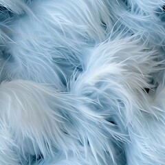 white feather on blue