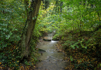 The waterfall in green forest