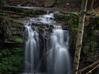 The waterfall in green forest