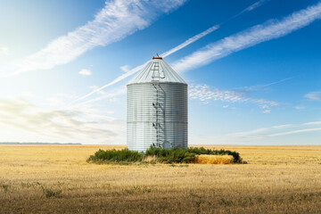 Isolated grain bin standing tall on a barley field with aviation jet streams overhead on the Canadian Prairies