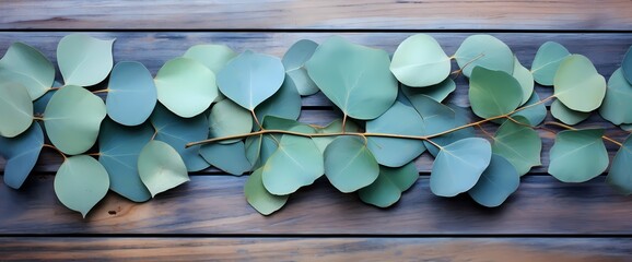 A captivating composition of eucalyptus leaves on a weathered wooden surface, creating a visually appealing flat lay. - obrazy, fototapety, plakaty