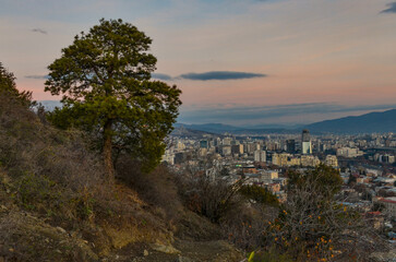 Tbilisi at dawn panoramic view from Mtatsminda Mountain trail