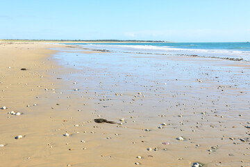 Idyllic sand beach in Ile d'Oleron, Charente-Maritime, Nouvelle-Aquitaine, France