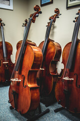 closeup of row of double basses resting against wall at a store