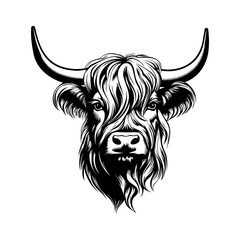 Highland cow head. Farm Animal. Vector illustration.