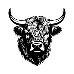 Highland cow head. Farm Animal. Vector illustration.