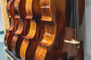 Row of multiple violins hanging on the wall, musician workshop