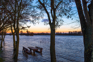 Fototapeta na wymiar Trees and benches under water on the banks of the Rhine near Oestrich-Winkel/Germany during flooding