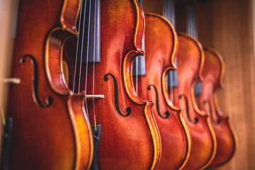 Row of multiple violins hanging on the wall, musician workshop