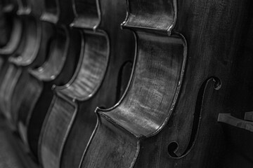 close up of a Row of multiple cellos standing on the floor at a musician workshop