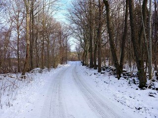 Naklejka premium Rural winter road with snow slope and trees
