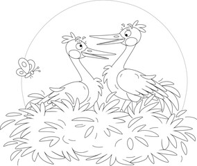 Pair of cute storks chatting happily in their family nest, black and white outline vector cartoon illustration for a coloring book