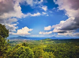 Very beautiful natural scenery, white clouds covering the blue sky, tall trees with green leaves