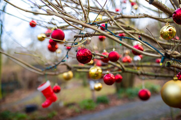 Christbaumkugeln hängen im Garten als Dekoration am Baum und Ästen
